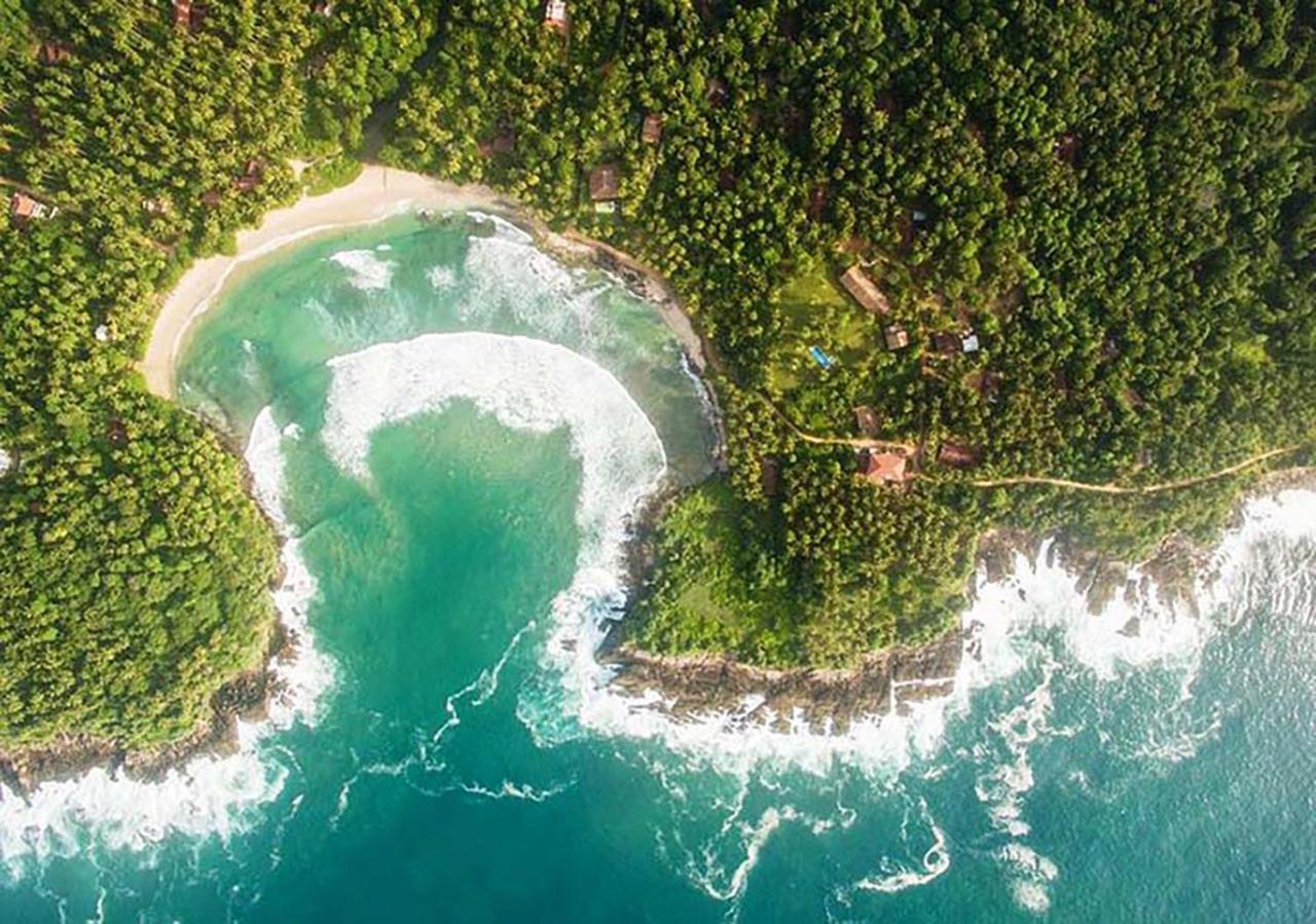 Green Garden Hiriketiya Dikwella Dış mekan fotoğraf